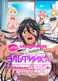 Слегка настойчивая тёмная эльфийка последовала за мной из другого мира
