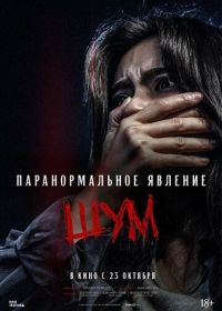 Паранормальное явление. Шум