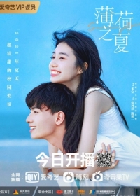 Летняя мята / Мятное лето