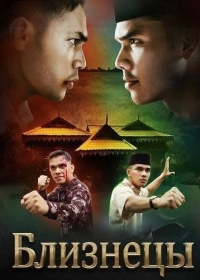 Близнецы