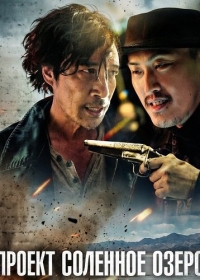 Проект Соленое озеро
