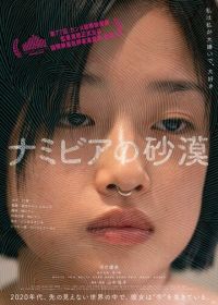 Пустыня Намибии