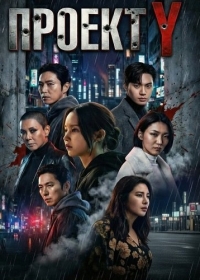 Проект Y