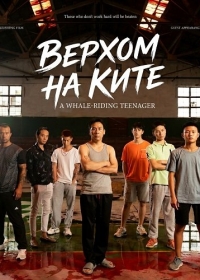 Верхом на ките