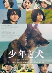 Мальчик и собака