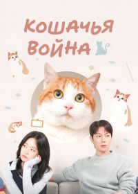 Кошачья война