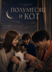 Полумесяц и кот