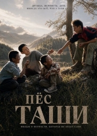 Пёс Таши